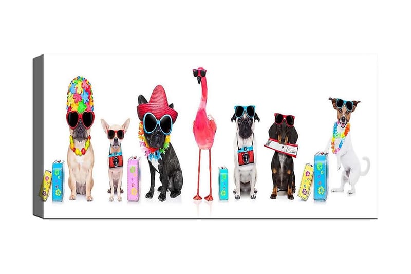 Canvastavla YTY Animals Flerfärgad - 120x50 cm - Inredning - Tavlor & posters - Canvastavla