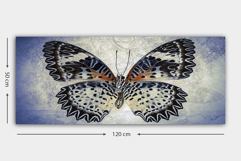 Canvastavla YTY Animals Flerfärgad - 120x50 cm - Inredning - Tavlor & posters - Canvastavla