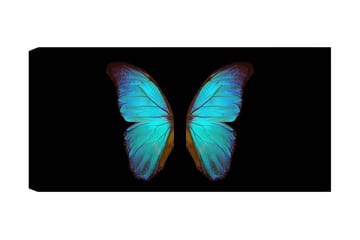 Canvastavla YTY Animals Flerfärgad - 120x50 cm - Inredning - Tavlor & posters - Canvastavla