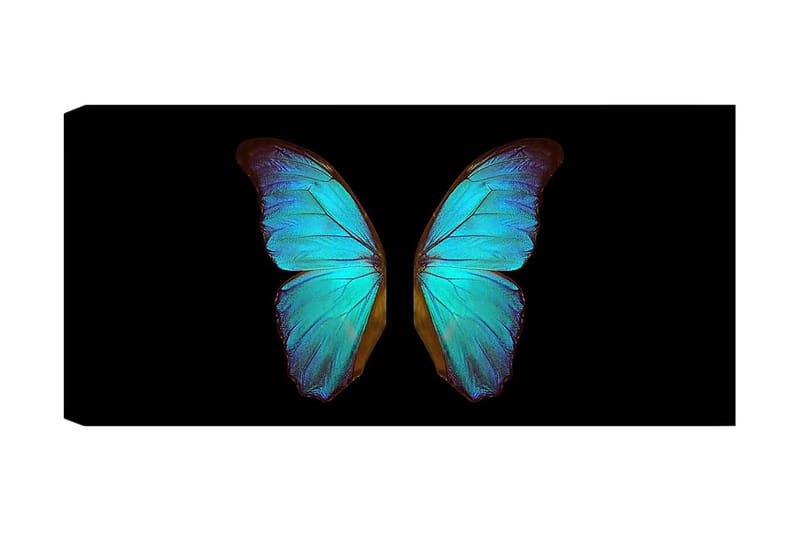 Canvastavla YTY Animals Flerfärgad - 120x50 cm - Inredning - Tavlor & posters - Canvastavla
