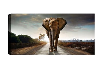 Canvastavla YTY Animals Flerfärgad - 120x50 cm - Inredning - Tavlor & posters - Canvastavla