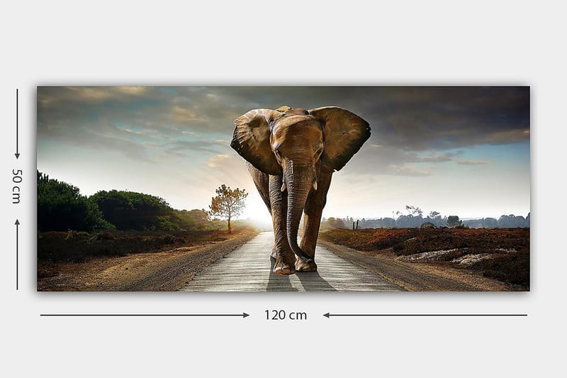 Canvastavla YTY Animals Flerfärgad - 120x50 cm - Inredning - Tavlor & posters - Canvastavla