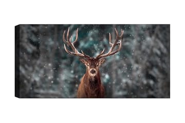 Canvastavla YTY Animals Flerfärgad - 120x50 cm - Inredning - Tavlor & posters - Canvastavla