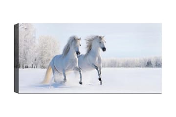 Canvastavla YTY Animals Flerfärgad - 120x50 cm - Inredning - Tavlor & posters - Canvastavla