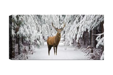 Canvastavla YTY Animals Flerfärgad - 120x50 cm - Inredning - Tavlor & posters - Canvastavla