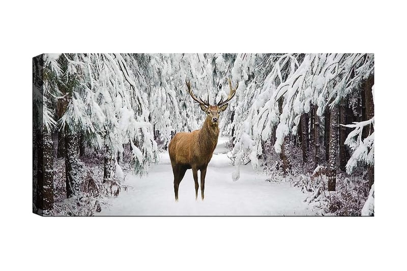 Canvastavla YTY Animals Flerfärgad - 120x50 cm - Inredning - Tavlor & posters - Canvastavla