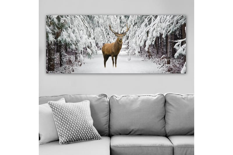 Canvastavla YTY Animals Flerfärgad - 120x50 cm - Inredning - Tavlor & posters - Canvastavla