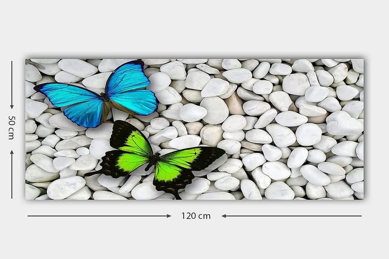 Canvastavla YTY Animals Flerfärgad - 120x50 cm - Inredning - Tavlor & posters - Canvastavla