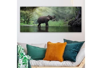 Canvastavla YTY Animals Flerfärgad - 120x50 cm - Inredning - Tavlor & posters - Canvastavla