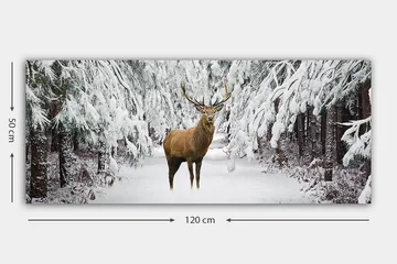 Canvastavla YTY Animals Flerfärgad - 120x50 cm - Inredning - Tavlor & posters - Canvastavla