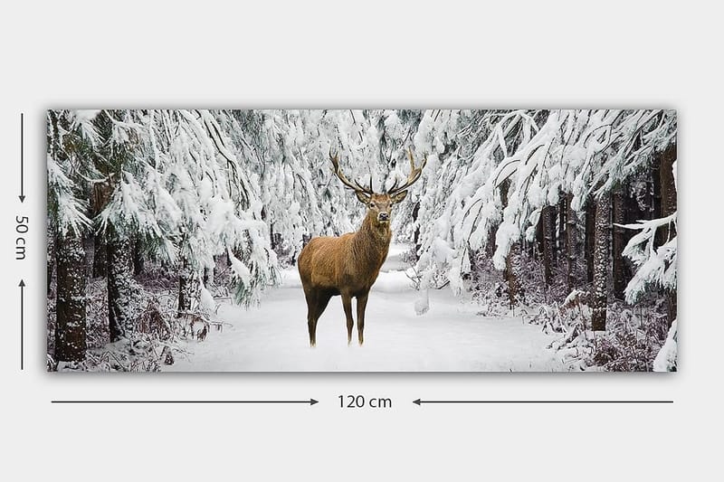 Canvastavla YTY Animals Flerfärgad - 120x50 cm - Inredning - Tavlor & posters - Canvastavla