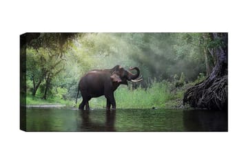 Canvastavla YTY Animals Flerfärgad - 120x50 cm - Inredning - Tavlor & posters - Canvastavla