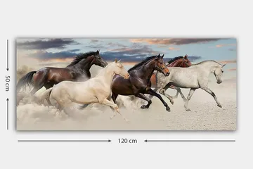 Canvastavla YTY Animals Flerfärgad - 120x50 cm - Inredning - Tavlor & posters - Canvastavla