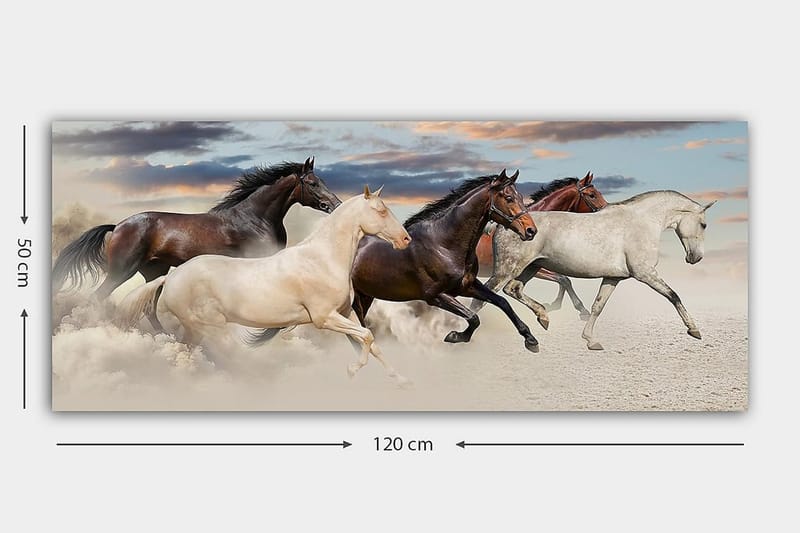 Canvastavla YTY Animals Flerfärgad - 120x50 cm - Inredning - Tavlor & posters - Canvastavla