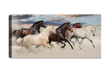 Canvastavla YTY Animals Flerfärgad - 120x50 cm - Inredning - Tavlor & posters - Canvastavla