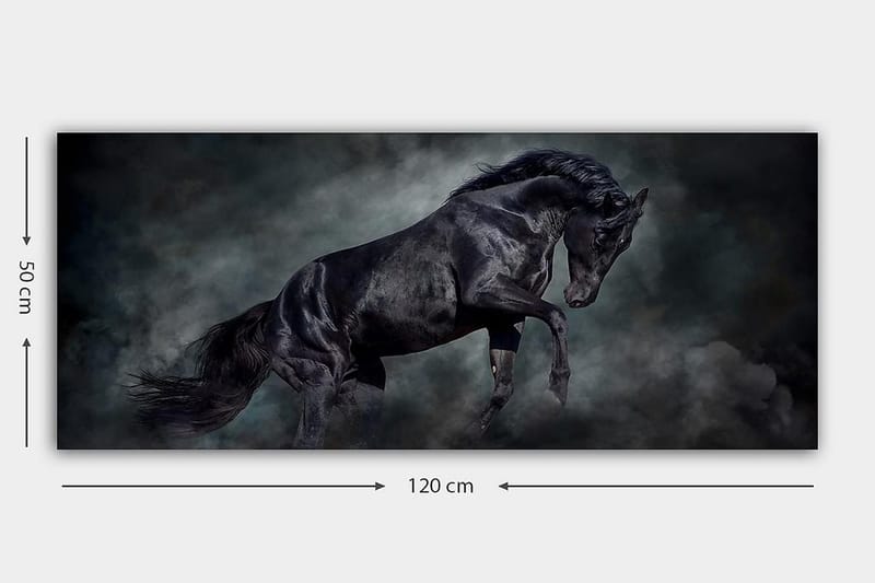 Canvastavla YTY Animals Flerfärgad - 120x50 cm - Inredning - Tavlor & posters - Canvastavla