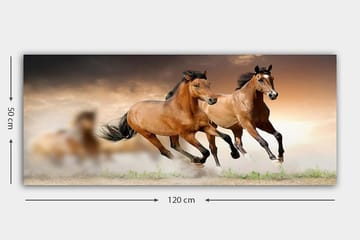 Canvastavla YTY Animals Flerfärgad - 120x50 cm - Inredning - Tavlor & posters - Canvastavla