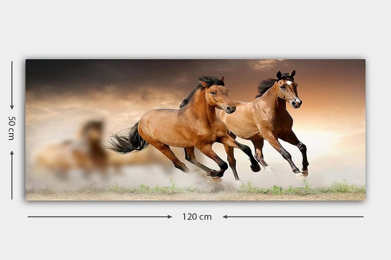 Canvastavla YTY Animals Flerfärgad - 120x50 cm - Inredning - Tavlor & posters - Canvastavla
