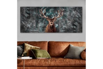 Canvastavla YTY Animals Flerfärgad - 120x50 cm - Inredning - Tavlor & posters - Canvastavla