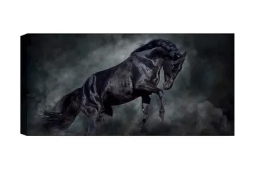 Canvastavla YTY Animals Flerfärgad - 120x50 cm - Inredning - Tavlor & posters - Canvastavla