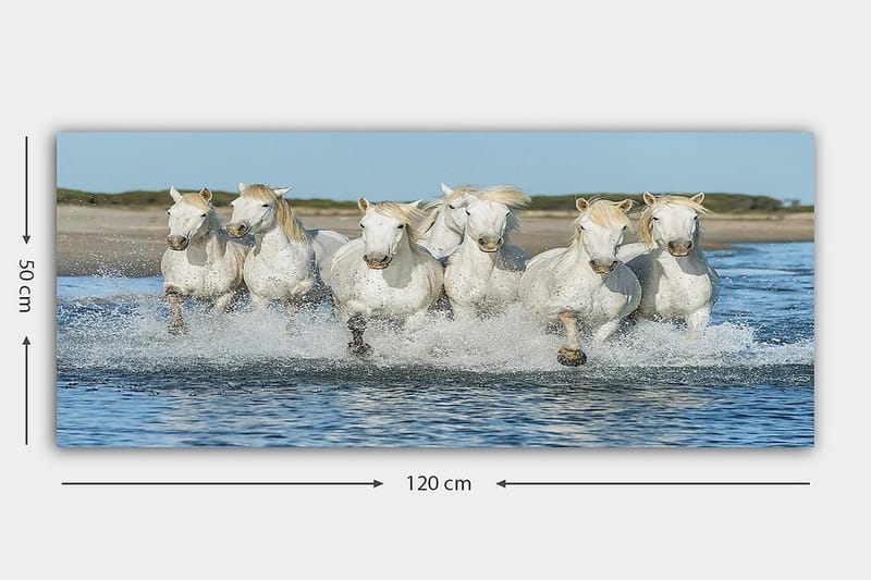 Canvastavla YTY Animals Flerfärgad - 120x50 cm - Inredning - Tavlor & posters - Canvastavla