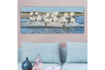 Canvastavla YTY Animals Flerfärgad - 120x50 cm - Inredning - Tavlor & posters - Canvastavla