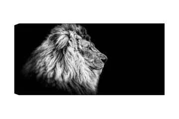 Canvastavla YTY Animals Flerfärgad - 120x50 cm - Inredning - Tavlor & posters - Canvastavla