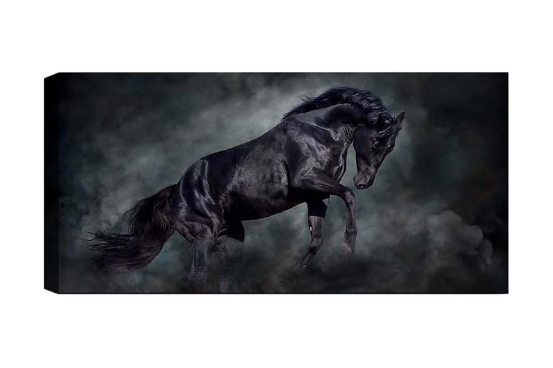 Canvastavla YTY Animals Flerfärgad, 120x50 cm