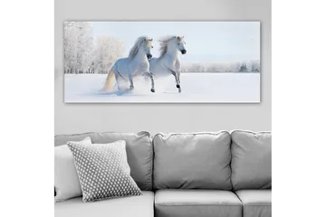 Canvastavla YTY Animals Flerfärgad - 120x50 cm - Inredning - Tavlor & posters - Canvastavla