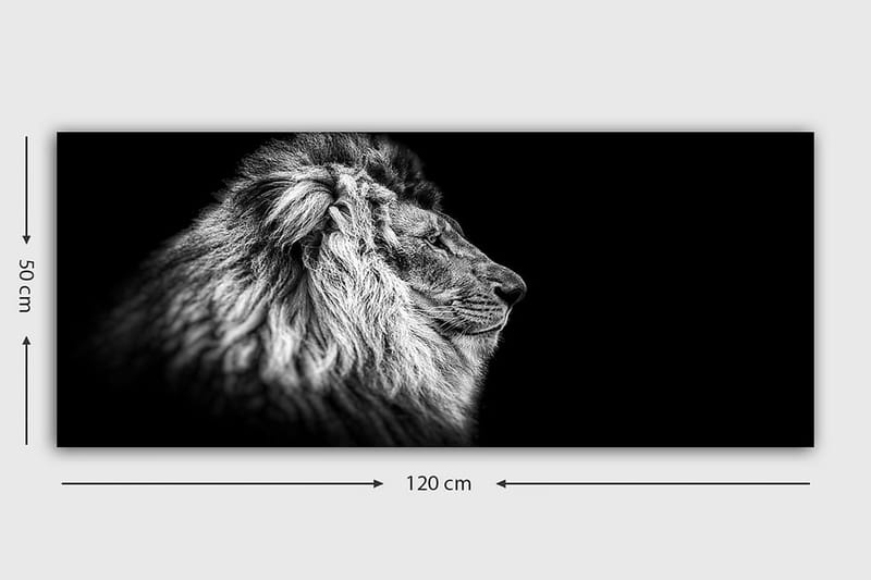 Canvastavla YTY Animals Flerfärgad - 120x50 cm - Inredning - Tavlor & posters - Canvastavla