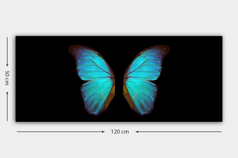 Canvastavla YTY Animals Flerfärgad - 120x50 cm - Inredning - Tavlor & posters - Canvastavla