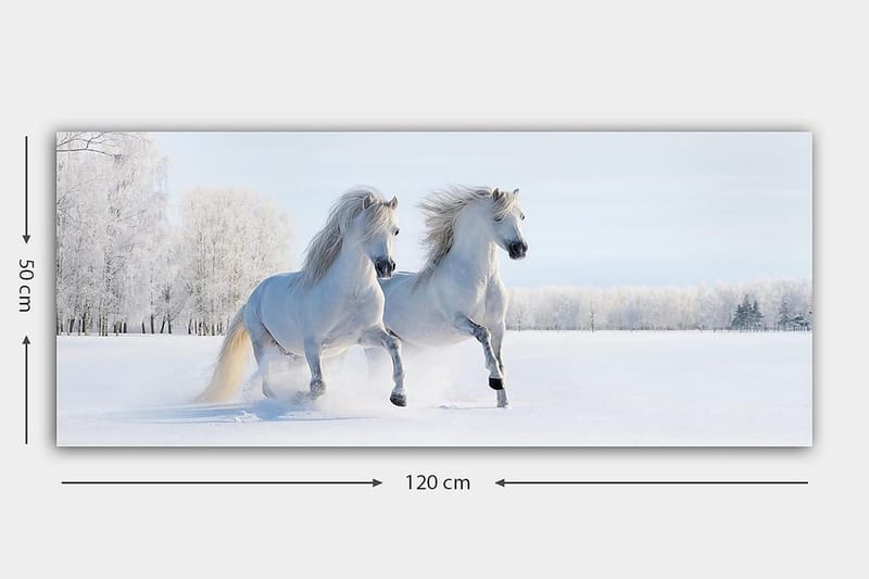 Canvastavla YTY Animals Flerfärgad - 120x50 cm - Inredning - Tavlor & posters - Canvastavla