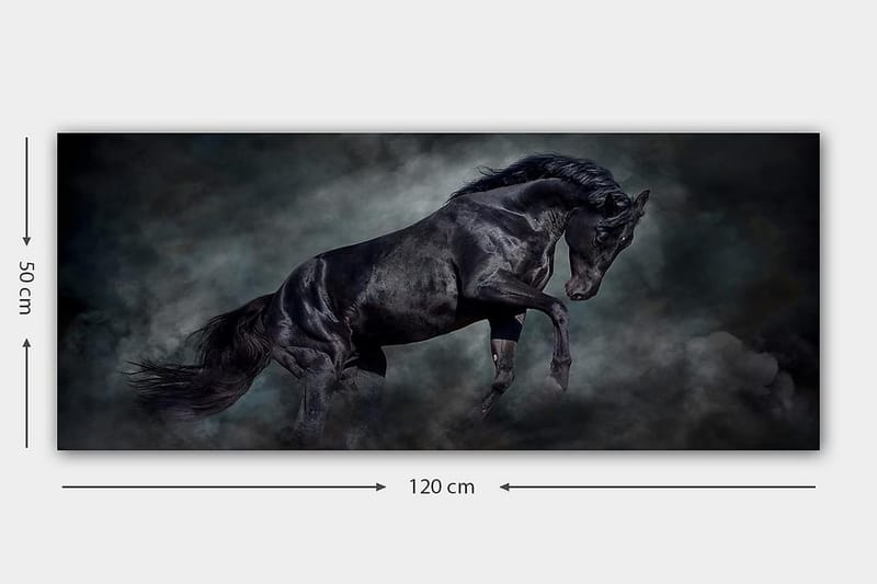 Canvastavla YTY Animals Flerfärgad - 120x50 cm - Inredning - Tavlor & posters - Canvastavla