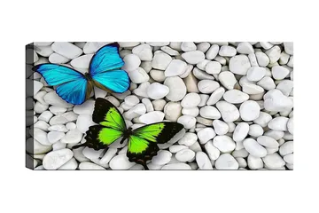 Canvastavla YTY Animals Flerfärgad - 120x50 cm - Inredning - Tavlor & posters - Canvastavla