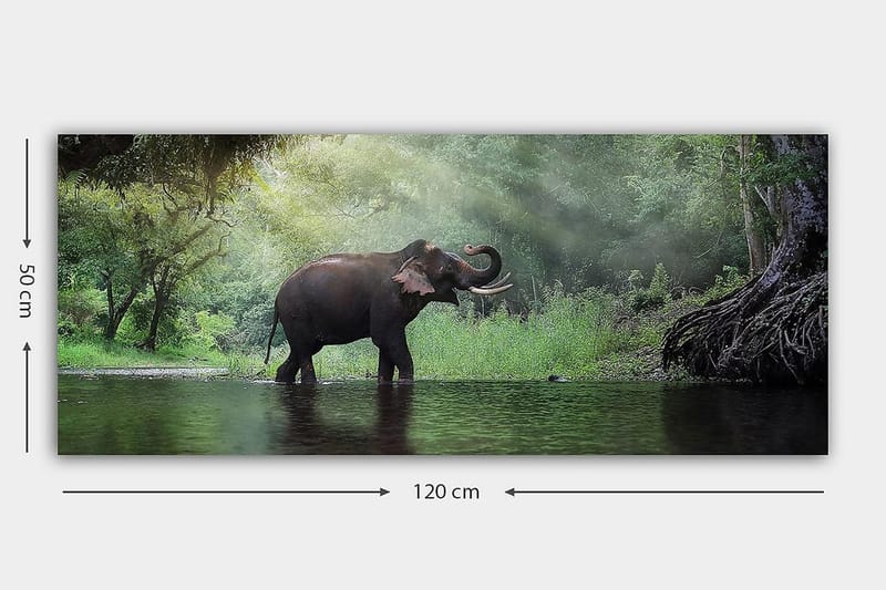 Canvastavla YTY Animals Flerfärgad - 120x50 cm - Inredning - Tavlor & posters - Canvastavla