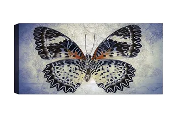 Canvastavla YTY Animals Flerfärgad - 120x50 cm - Inredning - Tavlor & posters - Canvastavla