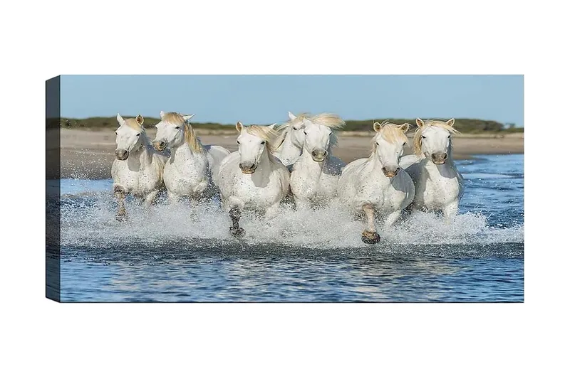 Canvastavla YTY Animals Flerfärgad, 120x50 cm