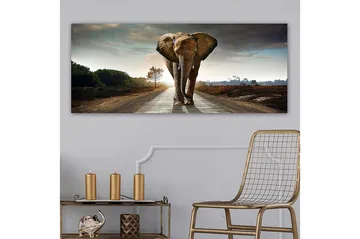 Canvastavla YTY Animals Flerfärgad - 120x50 cm - Inredning - Tavlor & posters - Canvastavla