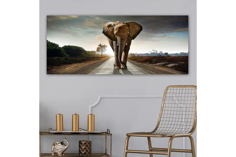 Canvastavla YTY Animals Flerfärgad - 120x50 cm - Inredning - Tavlor & posters - Canvastavla