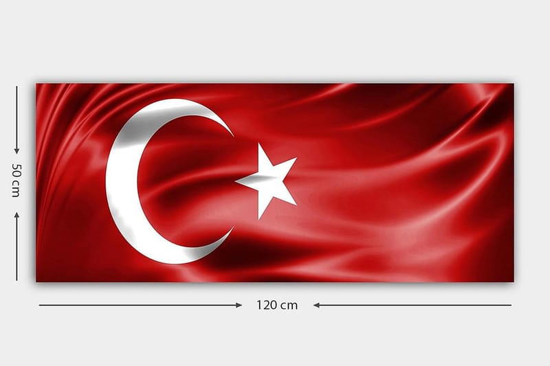 Canvastavla YTY Flag Flerfärgad - 120x50 cm - Inredning - Tavlor & posters - Canvastavla