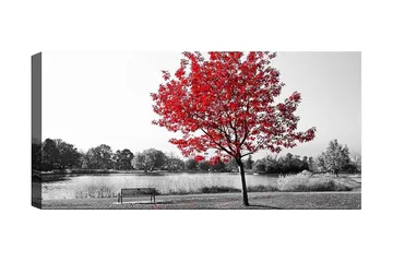 Canvastavla YTY Floral & Botanical Flerfärgad - 120x50 cm - Inredning - Tavlor & posters - Canvastavla