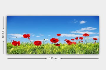 Canvastavla YTY Floral & Botanical Flerfärgad - 120x50 cm - Inredning - Tavlor & posters - Canvastavla