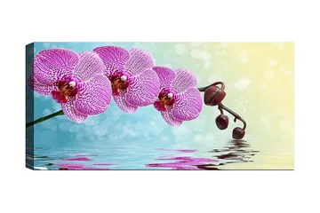 Canvastavla YTY Floral & Botanical Flerfärgad - 120x50 cm - Inredning - Tavlor & posters - Canvastavla