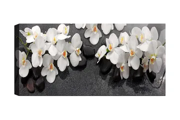 Canvastavla YTY Floral & Botanical Flerfärgad - 120x50 cm - Inredning - Tavlor & posters - Canvastavla