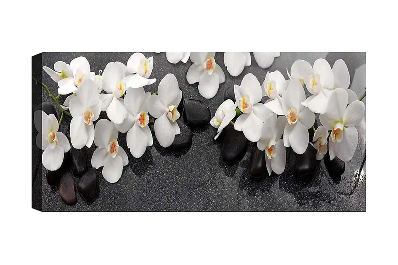 Canvastavla YTY Floral & Botanical Flerfärgad, 120x50 cm