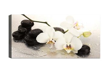 Canvastavla YTY Floral & Botanical Flerfärgad - 120x50 cm - Inredning - Tavlor & posters - Canvastavla