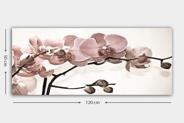 Canvastavla YTY Floral & Botanical Flerfärgad - 120x50 cm - Inredning - Tavlor & posters - Canvastavla