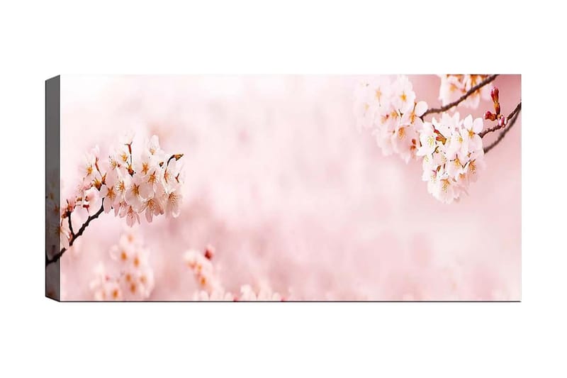Canvastavla YTY Floral & Botanical Flerfärgad, 120x50 cm