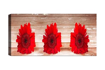 Canvastavla YTY Floral & Botanical Flerfärgad - 120x50 cm - Inredning - Tavlor & posters - Canvastavla