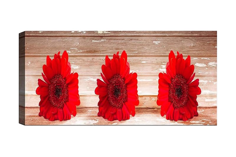 Canvastavla YTY Floral & Botanical Flerfärgad - 120x50 cm - Inredning - Tavlor & posters - Canvastavla